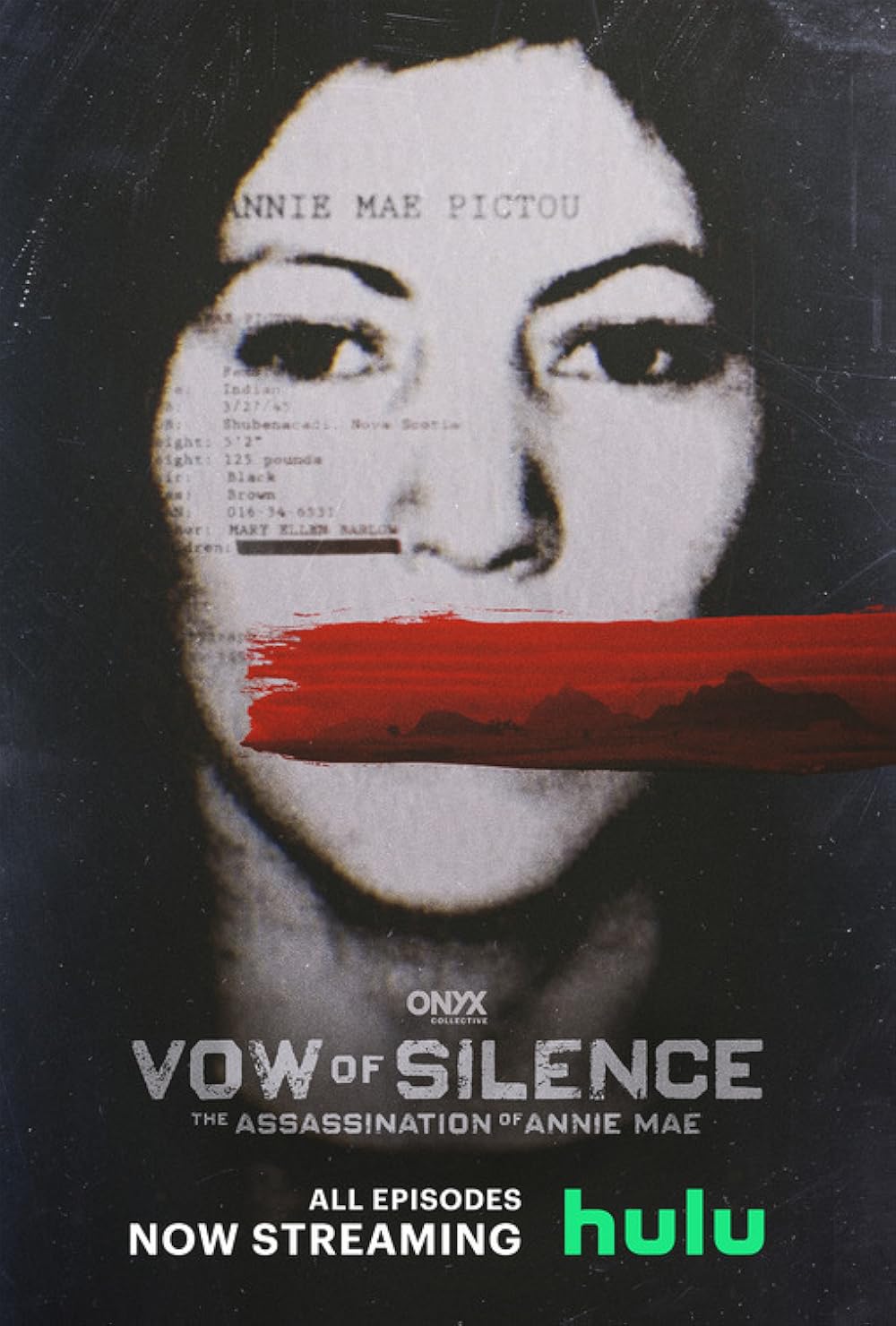 Vow of Silence: The Assassination of Annie Mae 