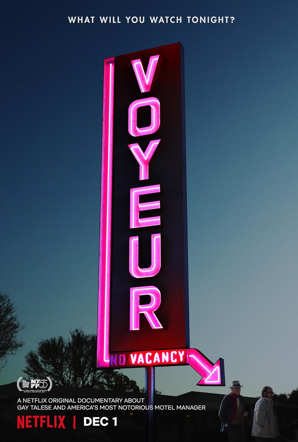 Voyeur 