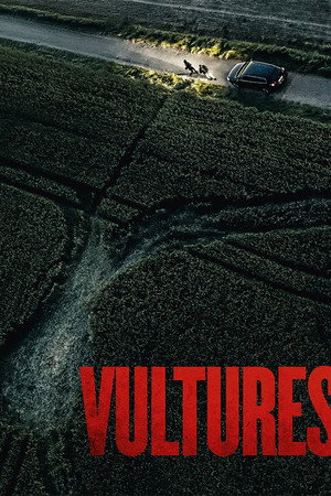 Vultures 