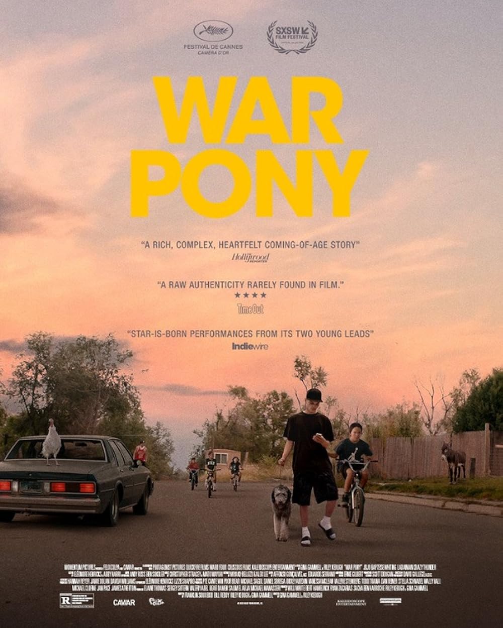 War Pony 