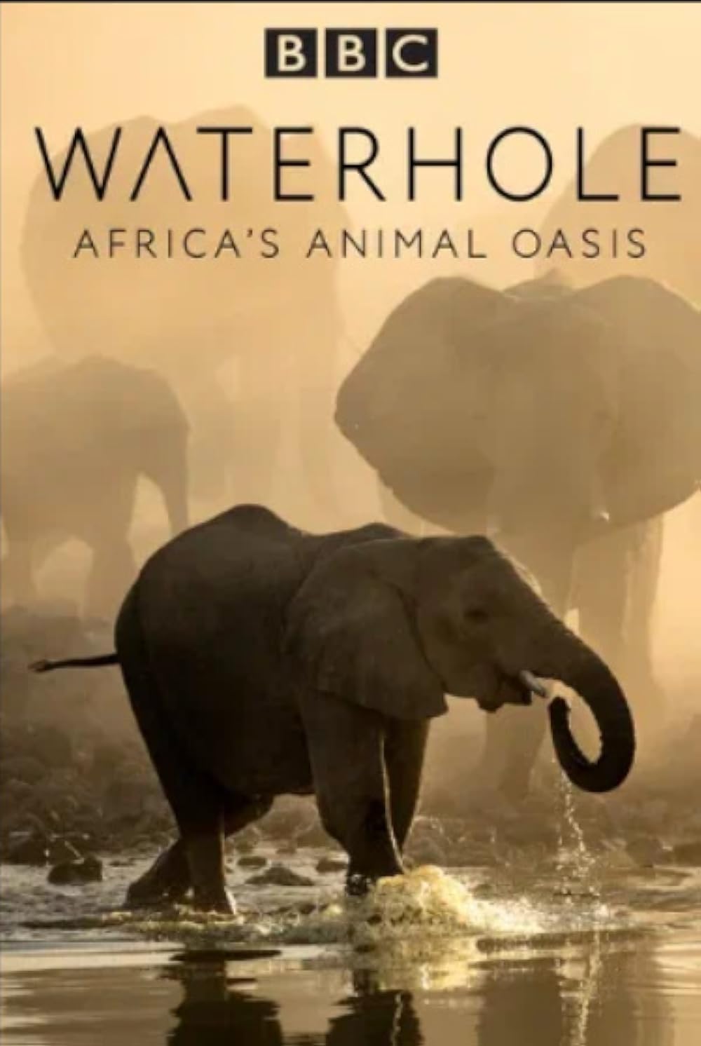 Waterhole: Africa's Animal Oasis 