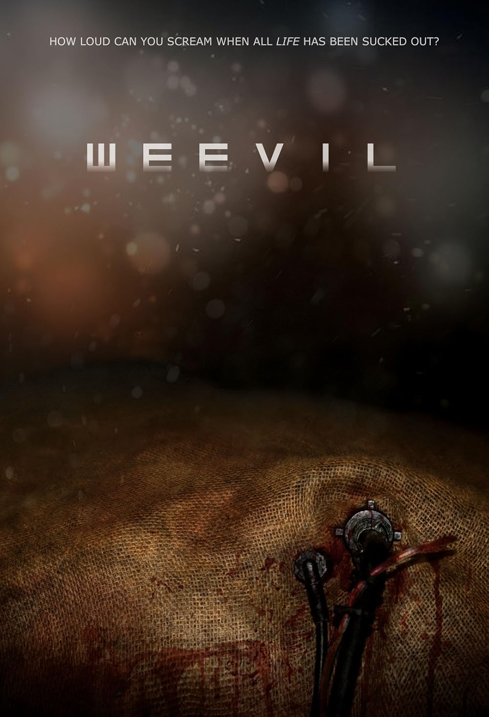 Weevil 
