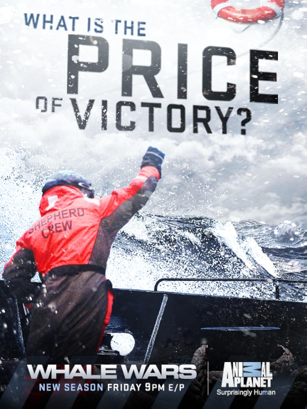Whale Wars 