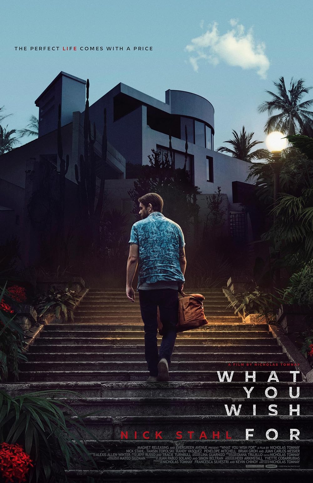 What You Wish For 