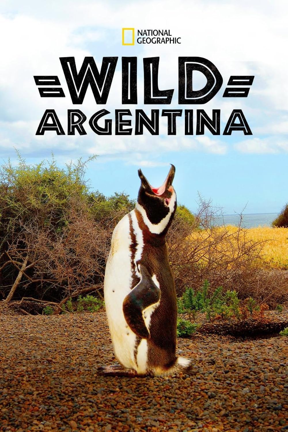 Wild Argentina 