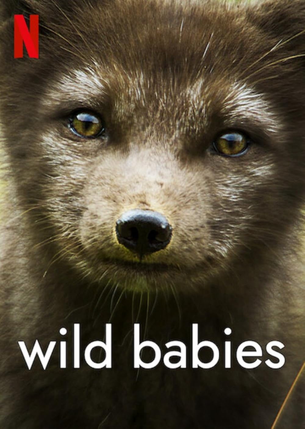 Wild Babies 