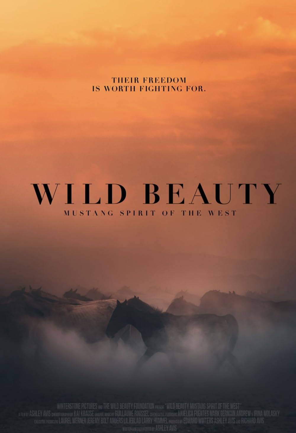Wild Beauty: Mustang Spirit of the West 