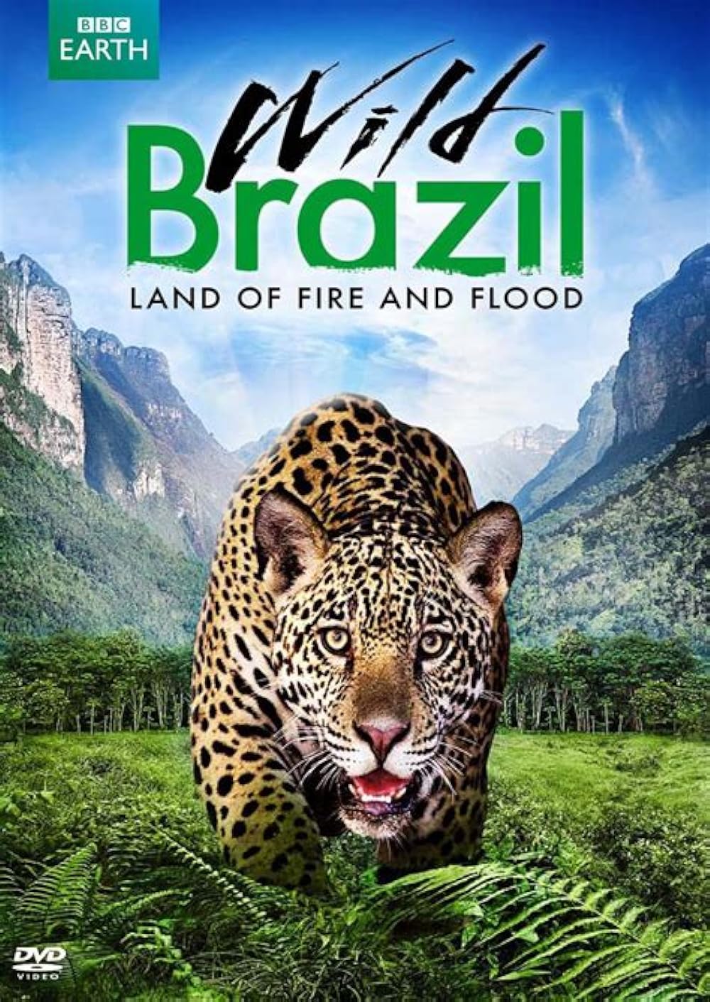 Wild Brazil 