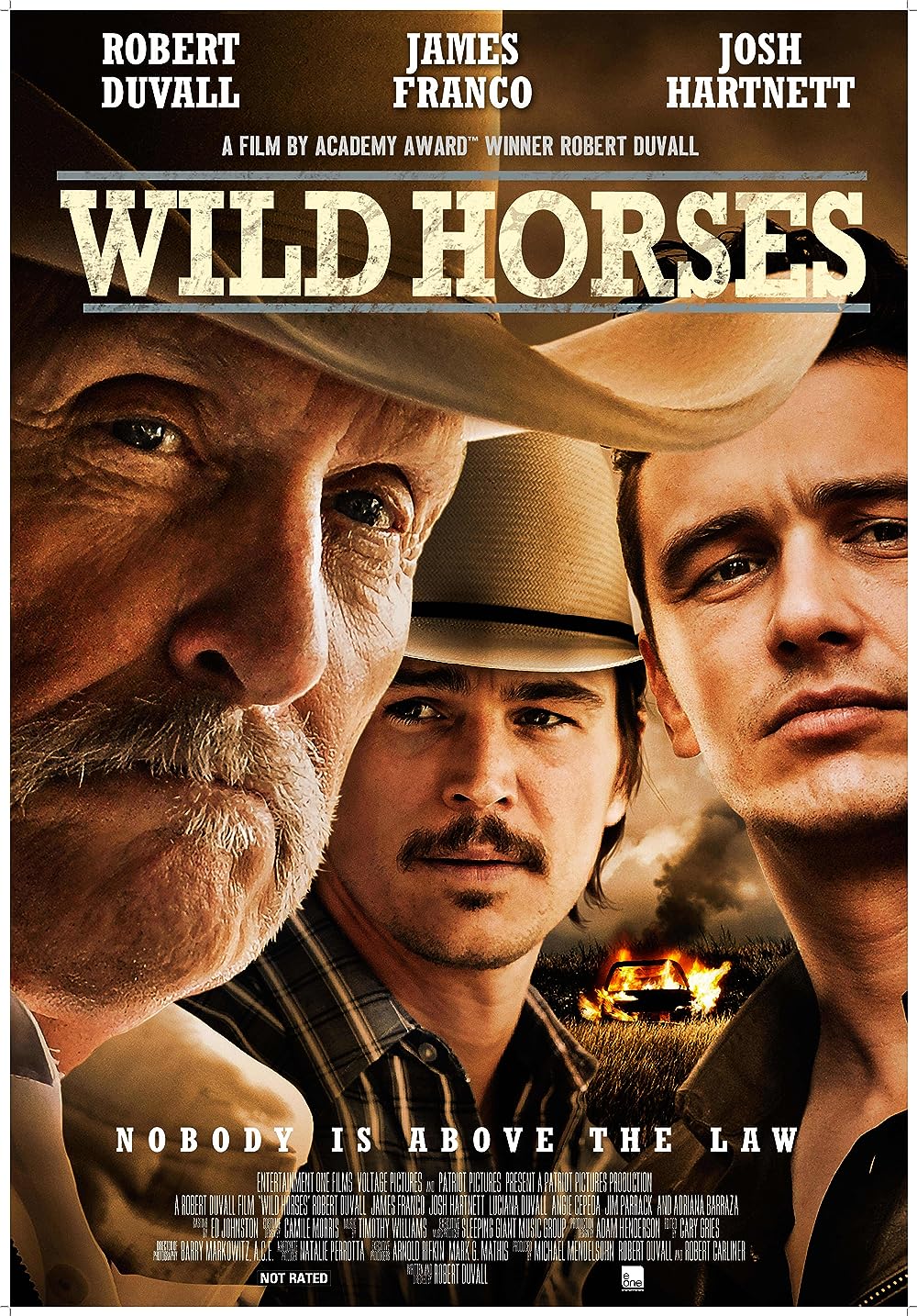 Wild Horses 