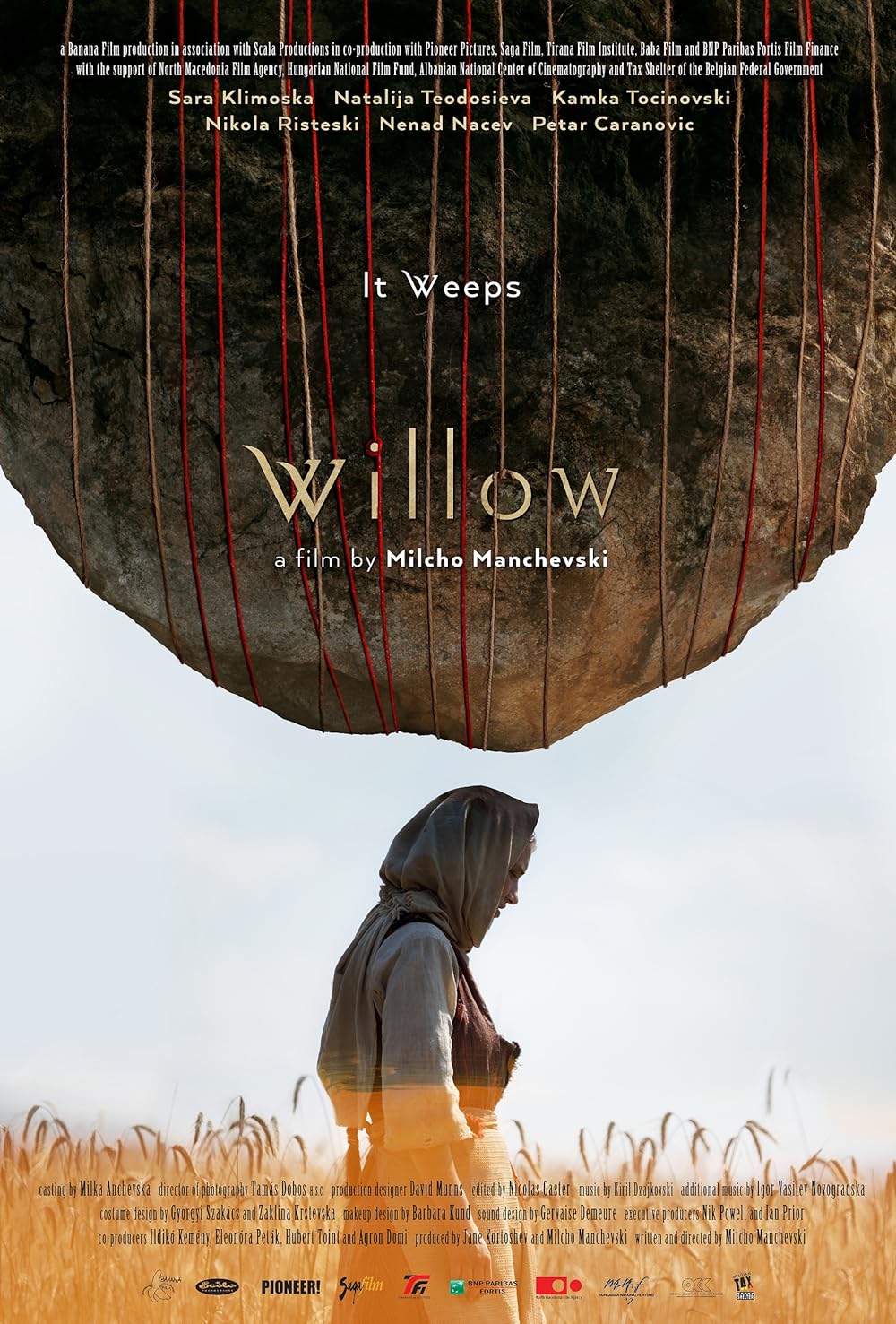 Willow 