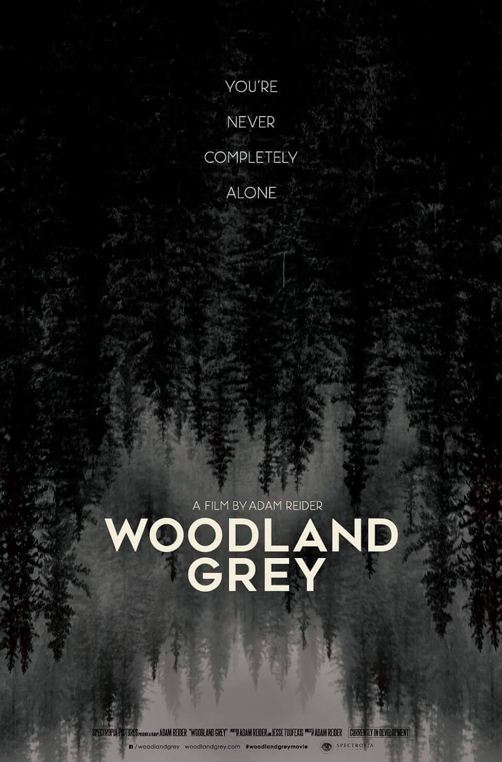 Woodland Grey 