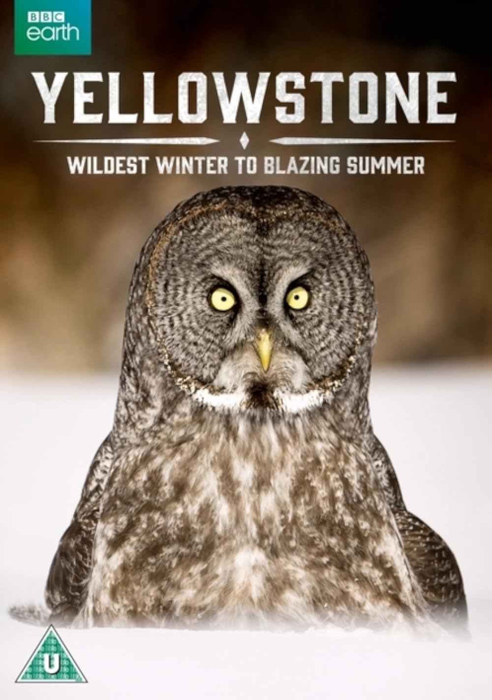 Yellowstone: Wildest Winter to Blazing Summer 